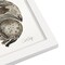 Raccoon by Cat Coquillette Frame  - Americanflat